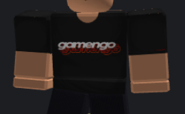Roblox clothing sample